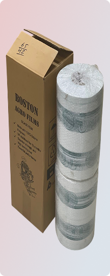 Branded cardboard box